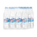 AGUA MINERAL PEÑAFIEL 600 ML PAQUETE CON 12 PIEZAS