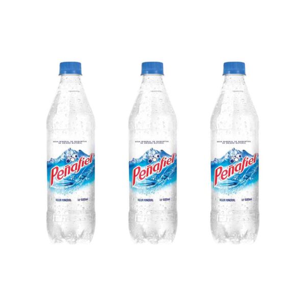 AGUA-MINERAL-PENAFIEL-600-ML-PAQUETE-CON-12-PIEZAS_A000-046_13 AGUA MINERAL PEÑAFIEL 600 ML PAQUETE CON 12 PIEZAS