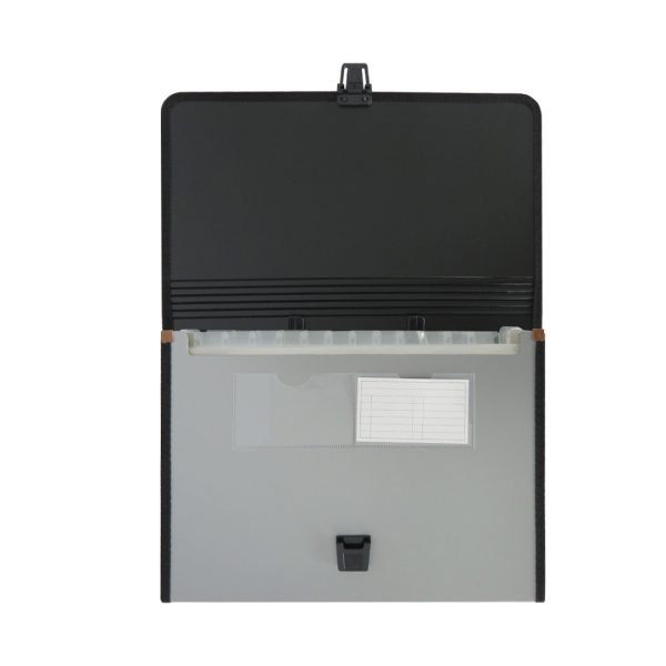 ARCHIVERO EXPANDIBLE 24 DIVISIONES CARTA F107