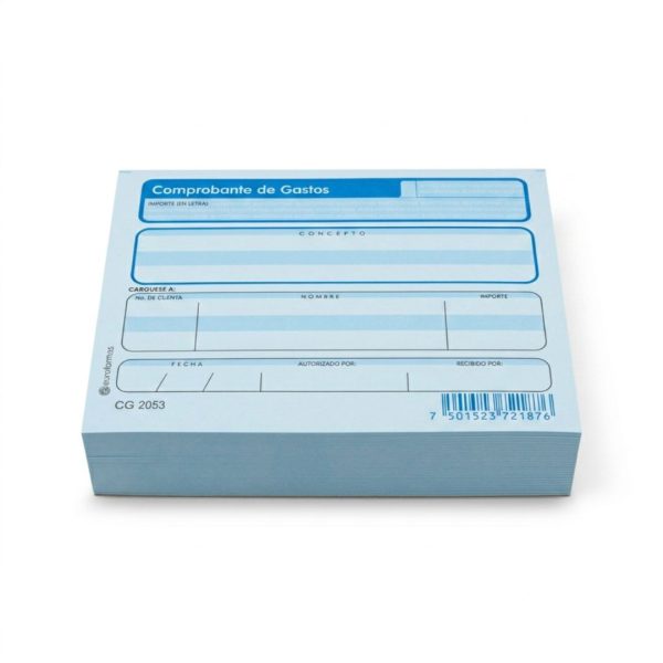 BLOCK COMPROBANTE DE GASTOS ER0101