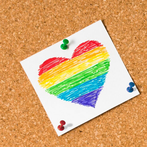 CHINCHES PUSH PINS COLORES CON 100 PZS