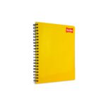 CUADERNO PROFESIONAL CLASICO RAYA 2900 CON 100 HOJAS