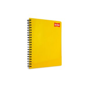 CUADERNO PROFESIONAL CLASICO RAYA 2900 CON 100 HOJAS