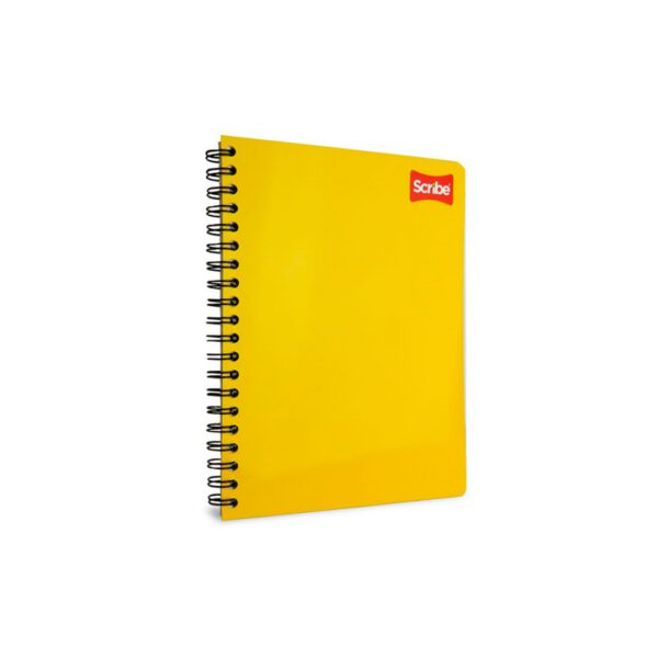 CUADERNO-PROFESIONAL-CLASICO-RAYA-2900-CON-100-HOJAS_C315-001_11-1 CUADERNO PROFESIONAL CLASICO RAYA 2900 CON 100 HOJAS