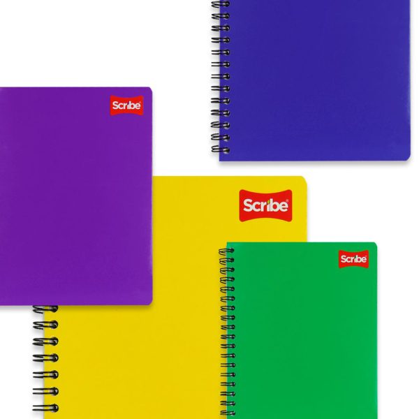 CUADERNO-PROFESIONAL-CLASICO-RAYA-2900-CON-100-HOJAS_C315-001_13 CUADERNO PROFESIONAL CLASICO RAYA 2900 CON 100 HOJAS