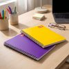CUADERNO-PROFESIONAL-CLASICO-RAYA-2900-CON-100-HOJAS_C315-001_14 CUADERNO PROFESIONAL CLASICO RAYA 2900 CON 100 HOJAS