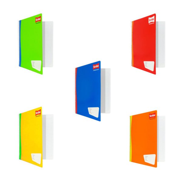 CUADERNO PROFESIONAL RAYA 7970 CON 100 HOJAS