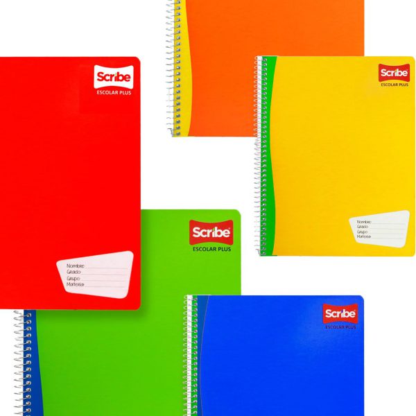 CUADERNO PROFESIONAL RAYA 7970 CON 100 HOJAS