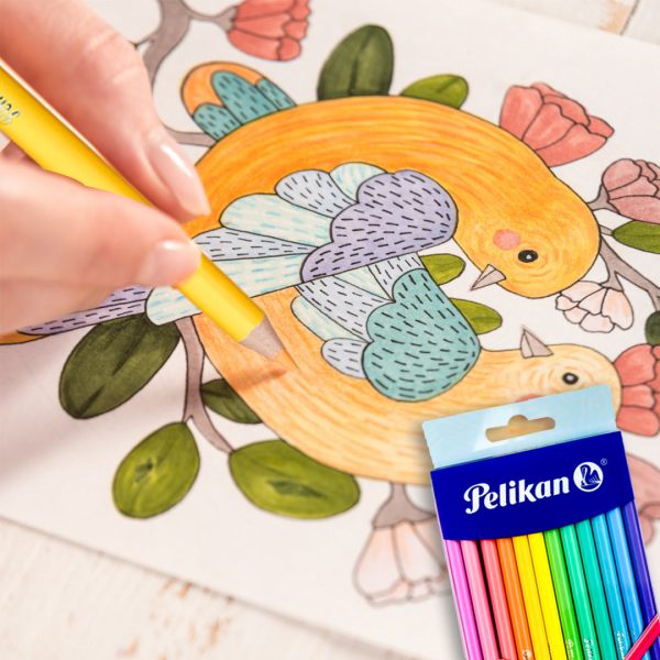 LAPICES DE COLORES PASTEL CON 12 PIEZAS