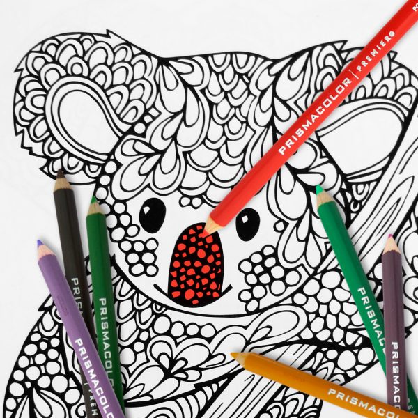 LAPICES DE COLORES PRISMACOLOR PREMIER CON 24 COLORES