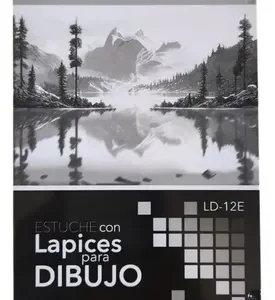 LAPIZ DE GRAFITO HEXAGONAL PARA DIBUJO CON 12 PIEZAS