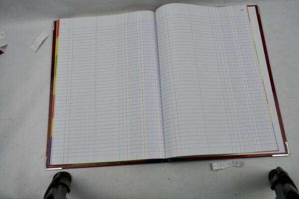 LIBRO FLORETE FORMA FRANCESA DIARIO CON 96 HOJAS