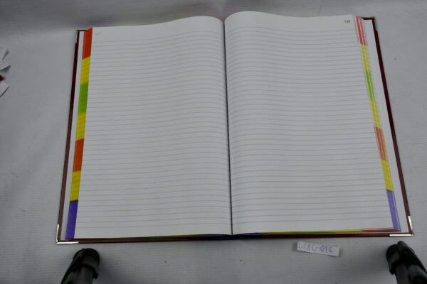 LIBRO FLORETE FORMA FRANCESA RAYADO 0099 CON 192 HOJAS