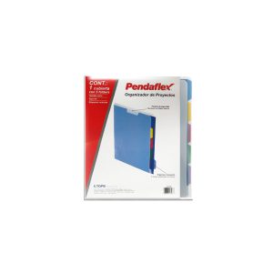 ORGANIZADOR DE PROYECTOS CON 5 FOLDERS CARTA