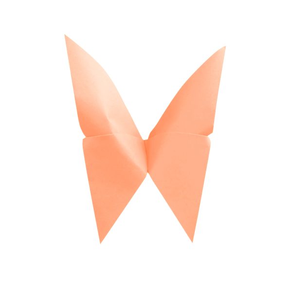 PAPEL-BRIGHT-TAMANO-CARTA-SALMON-PASTEL-CON-100-HOJAS_P080-158_3 PAPEL BRIGHT TAMAÑO CARTA SALMON PASTEL CON 100 HOJAS