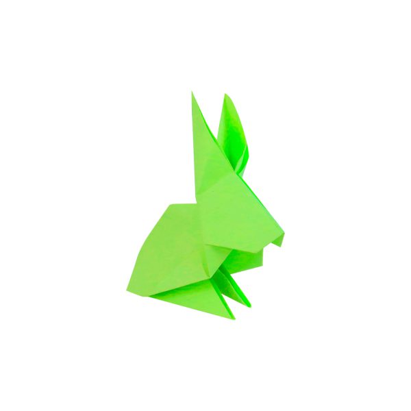 PAPEL-BRIGHT-TAMANO-CARTA-VERDE-ELECTRICO-CON-100-HOJAS_P080-147_3-2 PAPEL CARTA SUPRA BRIGHT PAQUETE CON 100 HOJAS