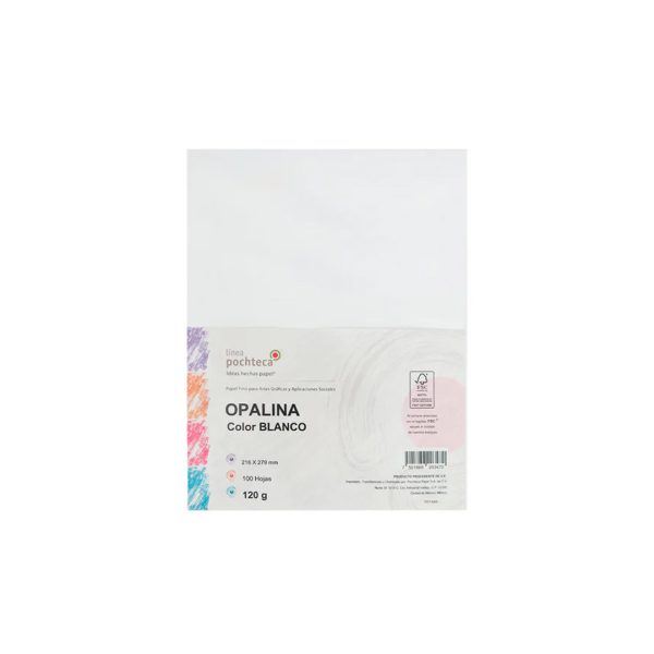 PAPEL-OPALINA-CARTA-BLANCO-PAQUETE-CON-100-HOJAS-CARTA-120-GRS_P189-207_11-1 PAPEL OPALINA CARTA BLANCO PAQUETE CON 100 HOJAS CARTA 120 GRS