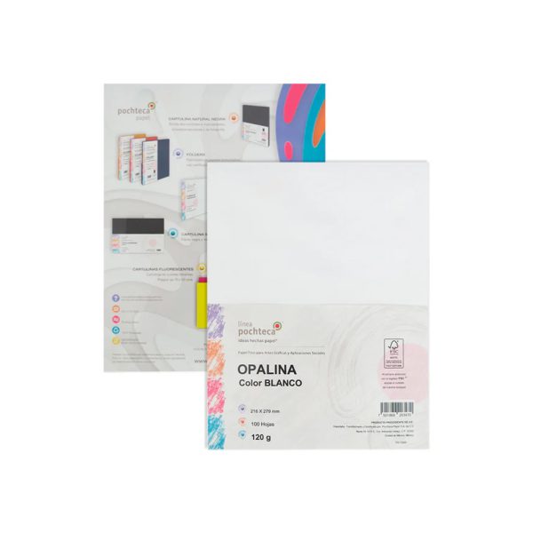 PAPEL-OPALINA-CARTA-BLANCO-PAQUETE-CON-100-HOJAS-CARTA-120-GRS_P189-207_12 PAPEL OPALINA CARTA BLANCO PAQUETE CON 100 HOJAS CARTA 120 GRS