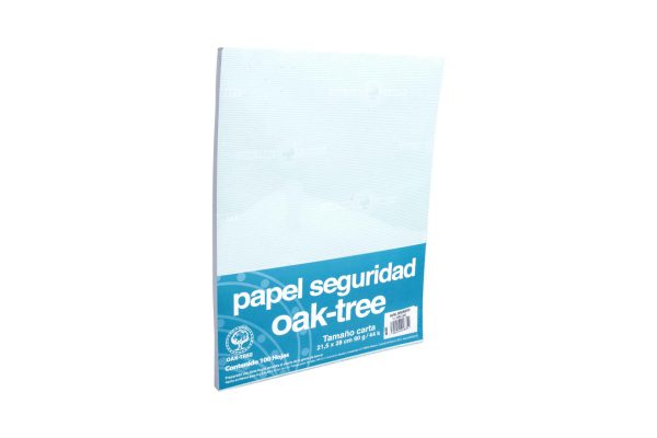 PAPEL SEGURIDAD CARTA VERDE CLARO PAQUETE CON 100 HOJAS
