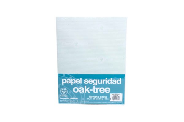 PAPEL SEGURIDAD CARTA VERDE CLARO PAQUETE CON 100 HOJAS