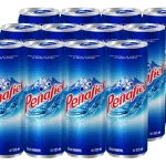 AGUA MINERAL PEÑAFIEL LATA 355 ML PAQUETE CON 12 PIEZAS