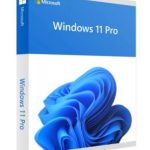 LICENCIA MICROSOFT WINDOWS 11 PRO 64 BITS OEM FQC-10553