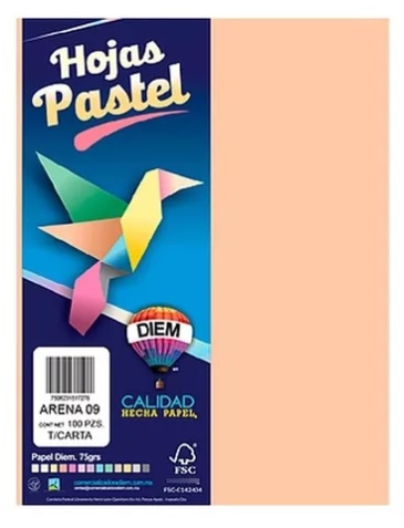 PAPEL BRIGHT TAMAÑO CARTA ARENA 09 CON 100 HOJAS