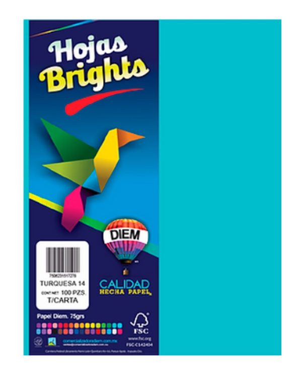 PAPEL-BRIGHT-TAMANO-CARTA-TURQUESA-14-CON-100-HOJAS_P080-127_1 PAPEL BRIGHT TAMAÑO CARTA TURQUESA 14 CON 100 HOJAS