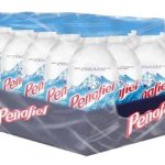 AGUA MINERAL PEÑAFIEL 296 ML CON 24 PIEZAS