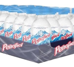 AGUA MINERAL PEÑAFIEL 296 ML CON 24 PIEZAS
