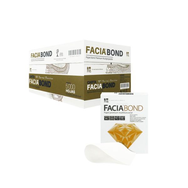 CAJA-DE-PAPEL-FACIABOND-CARTA-99-PORCIENTO-BLANCURA-10-PAQUETES-CON-500-HOJAS-75-GRS_P107-018_12 CAJA DE PAPEL FACIABOND CARTA 99 % BLANCURA 10 PAQUETES CON 500 HOJAS 75 GRS