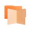 FOLDER CARTA PENDAFLEX C0050 BITONO PAQUETE CON 50 PIEZAS