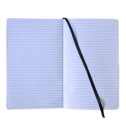 LIBRETA-DE-NOTAS-DANPEX-DELHI-COLOR-AZUL-RAYA-CON-160-PAGINAS_L301-017_3-1 LIBRETA DE NOTAS DANPEX PEN PENA500 RAYA 80 HOJAS PASTA DURA