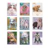 LIBRETA POCKET NORMA DOGS CATS RAYA CON 80 HOJAS 07980023