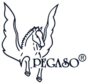 Logo PEGASO