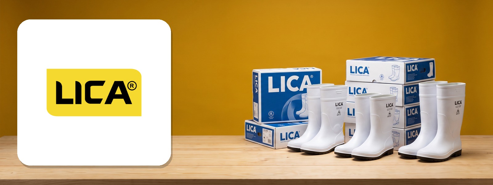 Promoción LICA